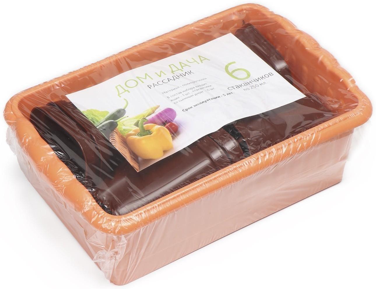 Набор для рассады: стаканы по 250 мл (6 шт.), контейнер 24 × 16 см, МИКС