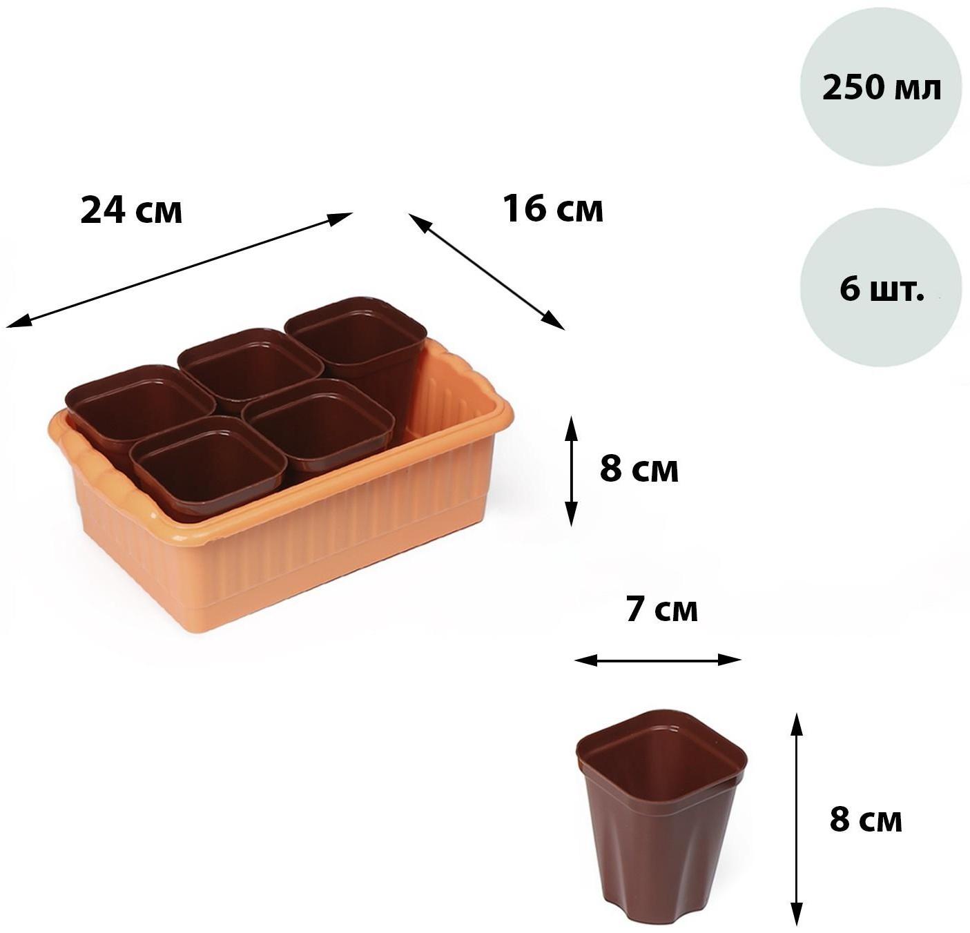 Набор для рассады: стаканы по 250 мл (6 шт.), контейнер 24 × 16 см, МИКС