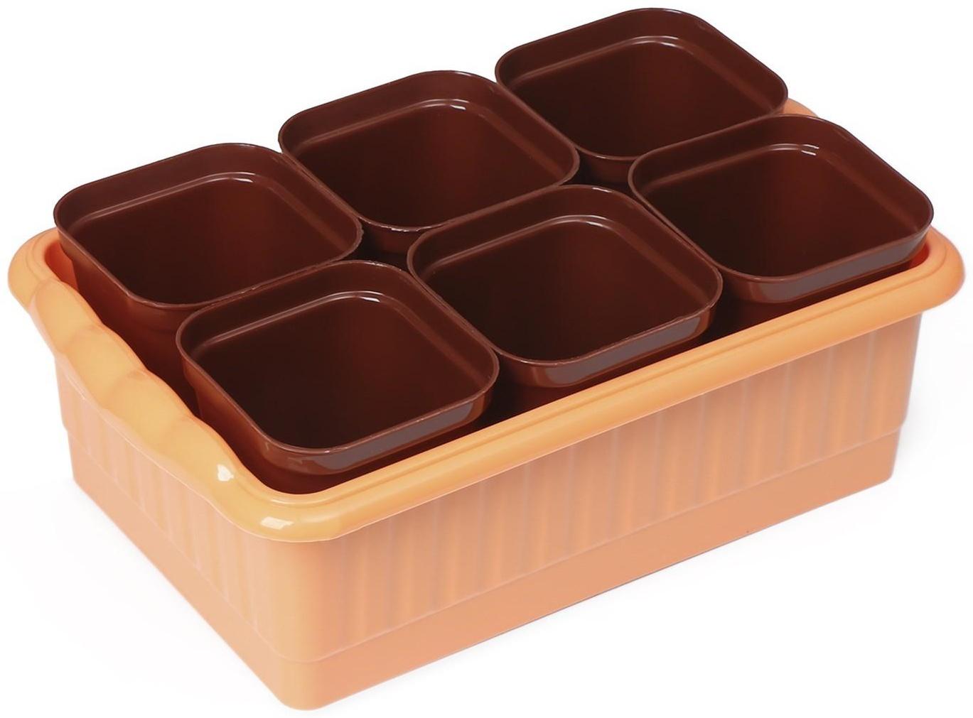 Набор для рассады: стаканы по 250 мл (6 шт.), контейнер 24 × 16 см, МИКС