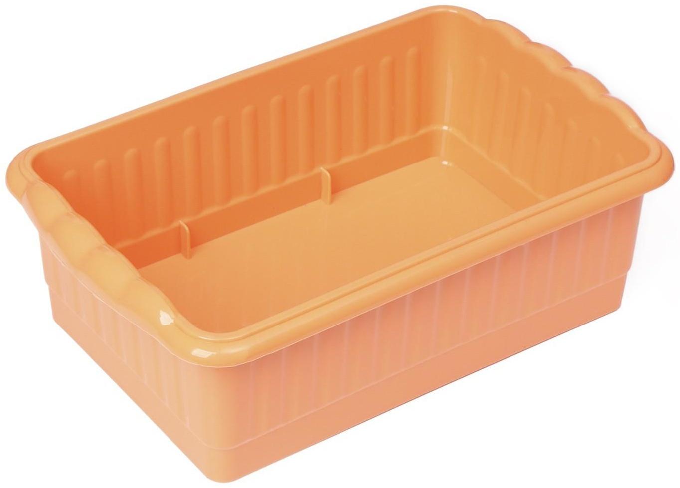 Набор для рассады: стаканы по 250 мл (6 шт.), контейнер 24 × 16 см, МИКС