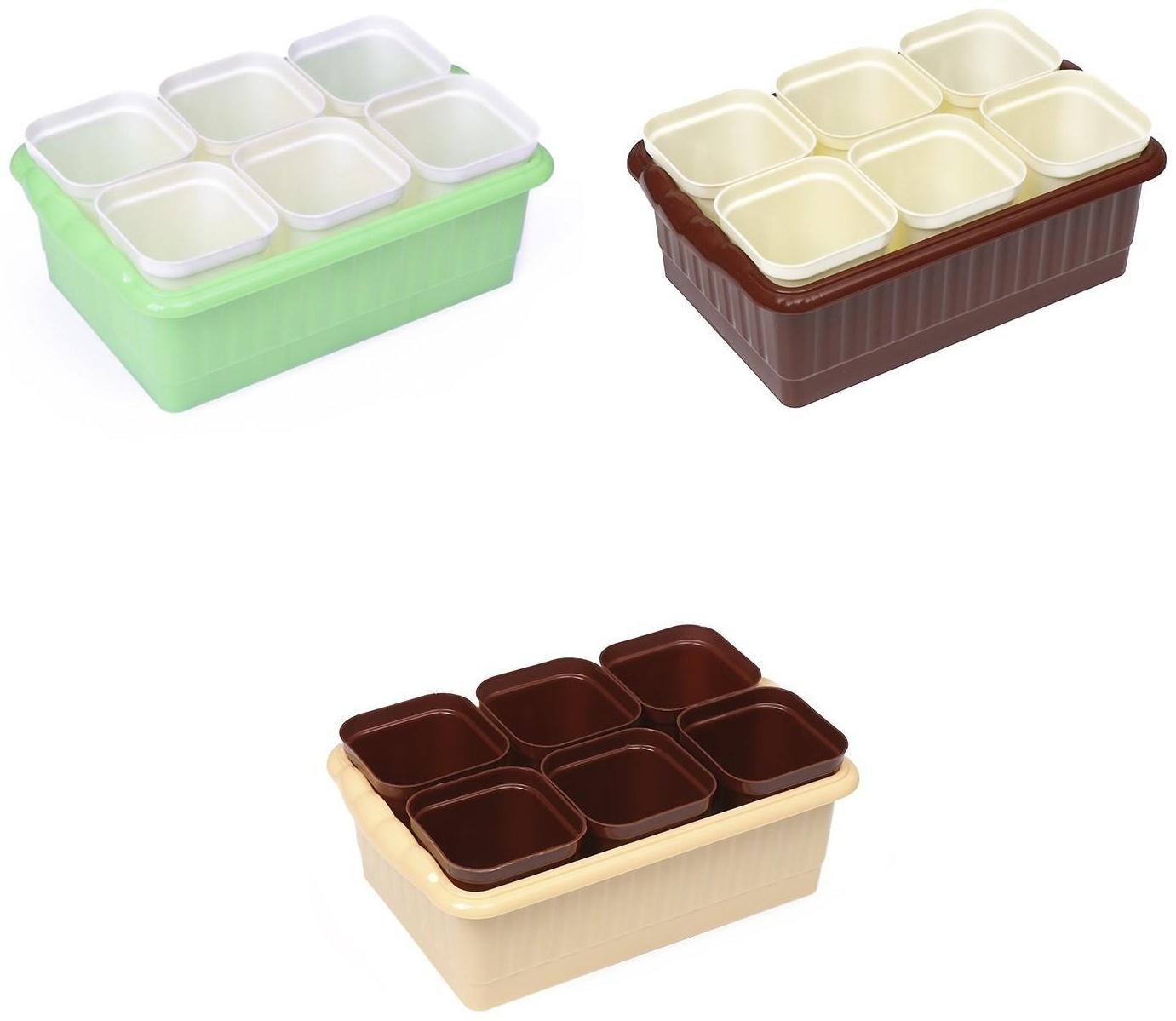 Набор для рассады: стаканы по 250 мл (6 шт.), контейнер 24 × 16 см, МИКС