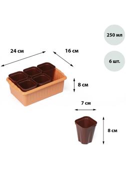 Набор для рассады: стаканы по 250 мл (6 шт.), контейнер 24 × 16 см, МИКС