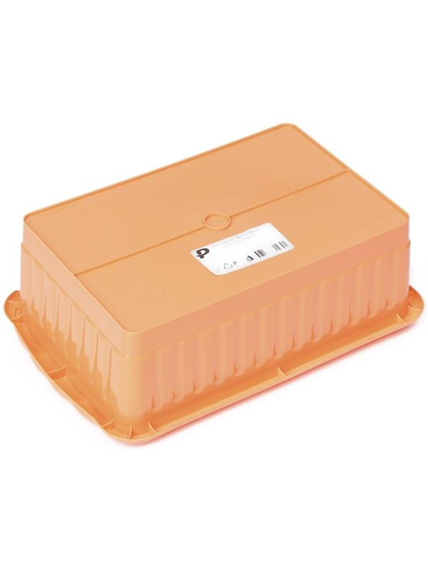 Набор для рассады: стаканы по 250 мл (6 шт.), контейнер 24 × 16 см, МИКС