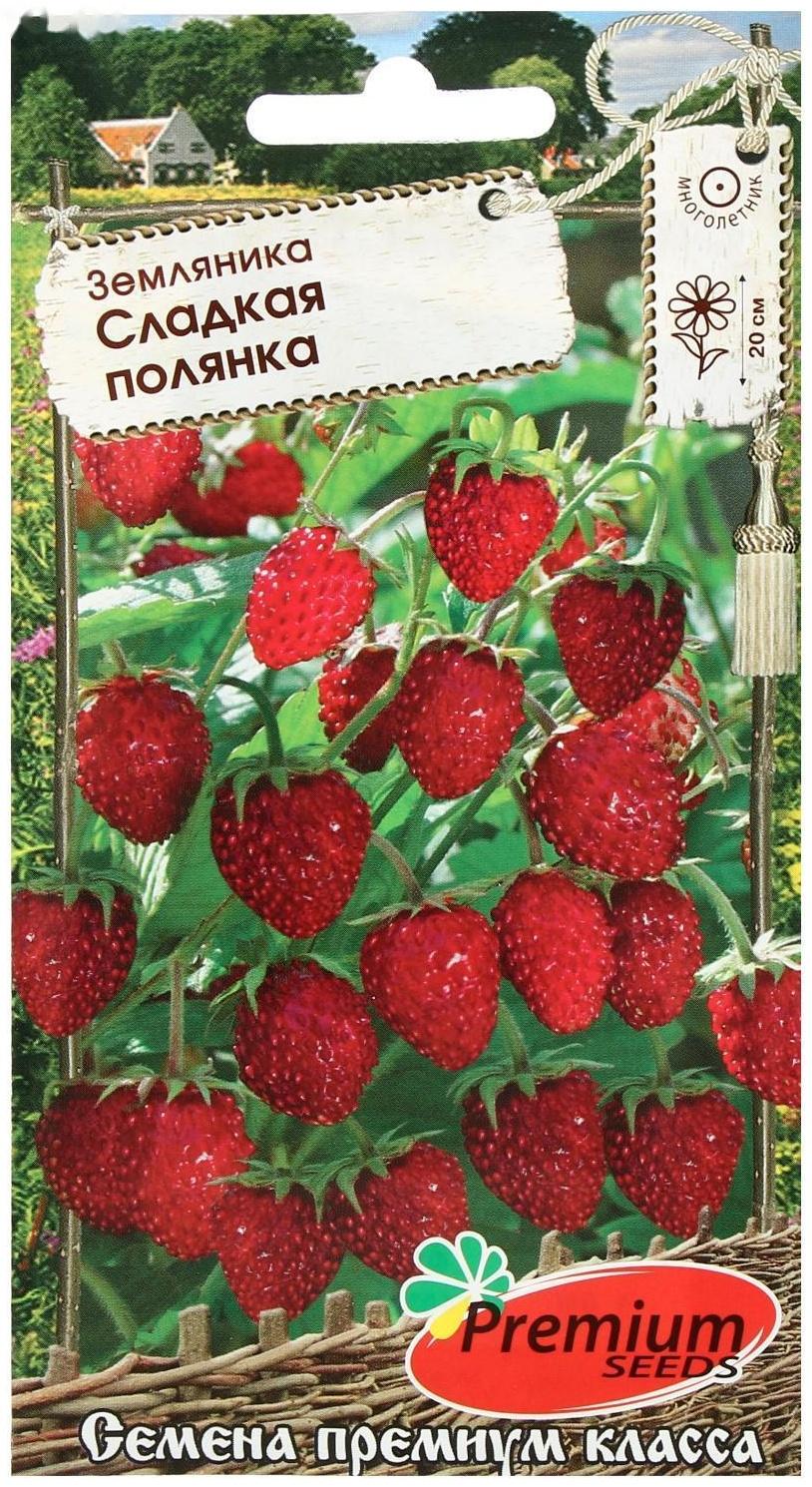 Семена земляники 