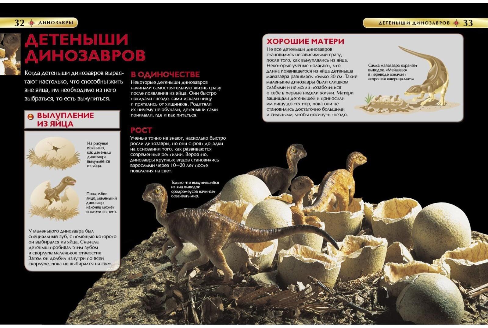 Детская энциклопедия «Динозавры»