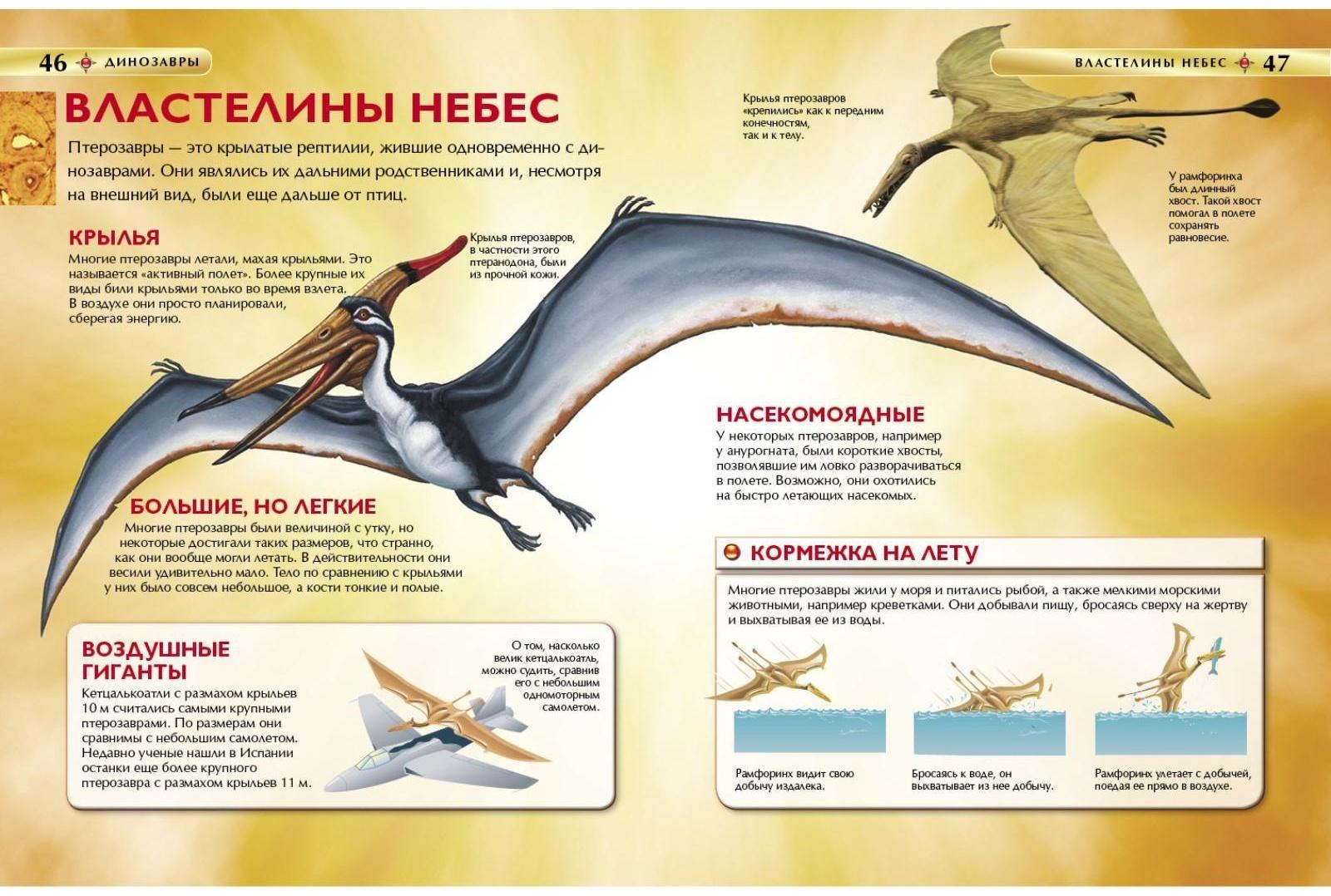 Детская энциклопедия «Динозавры»