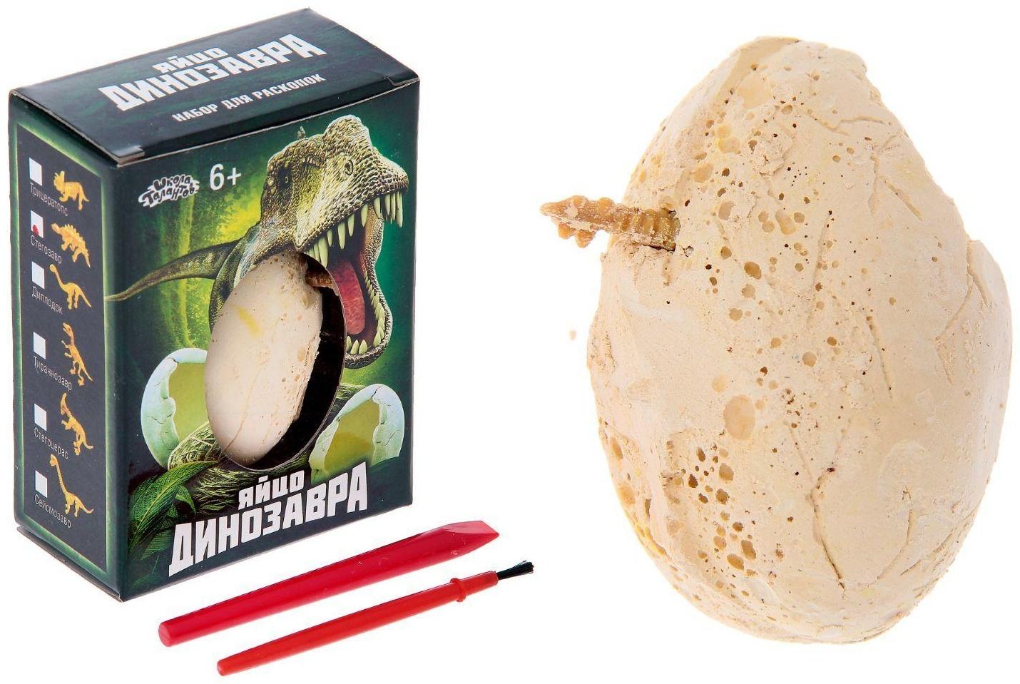 Набор археолога «Стегозавр», серия «Окаменелое яйцо динозавра»