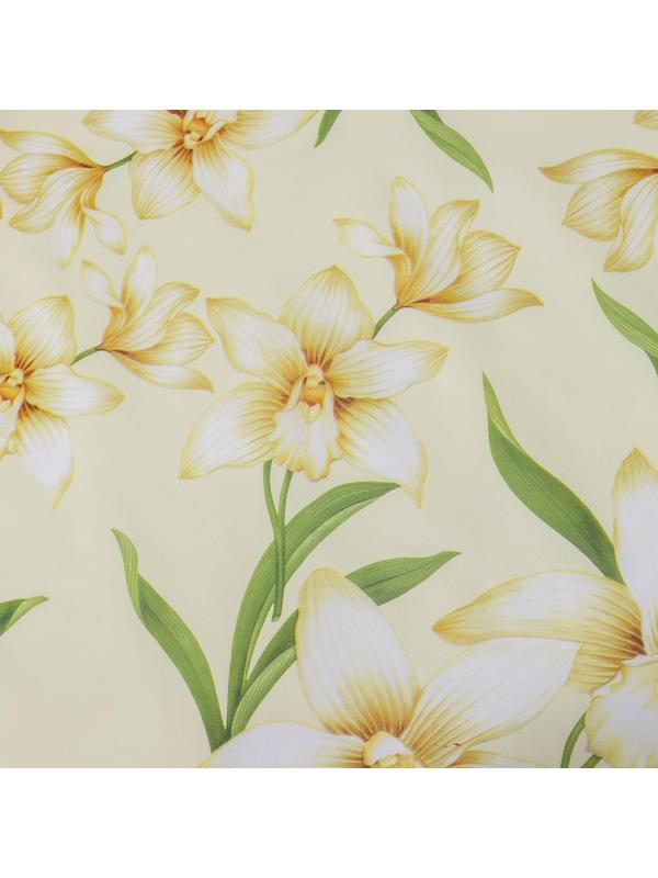 Клеёнка столовая на нетканой основе Доляна, ширина 137 см, толщина 0,08 мм, рулон 20 м