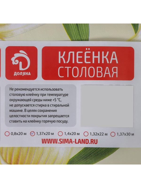 Клеёнка столовая на нетканой основе Доляна, ширина 137 см, толщина 0,08 мм, рулон 20 м