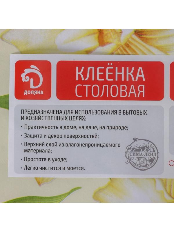 Клеёнка столовая на нетканой основе Доляна, ширина 137 см, толщина 0,08 мм, рулон 20 м
