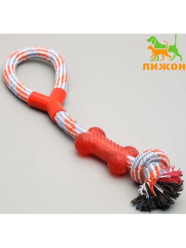Игрушка тренировочная канатная с косточкой, 120 г, до 40 см, микс цветов