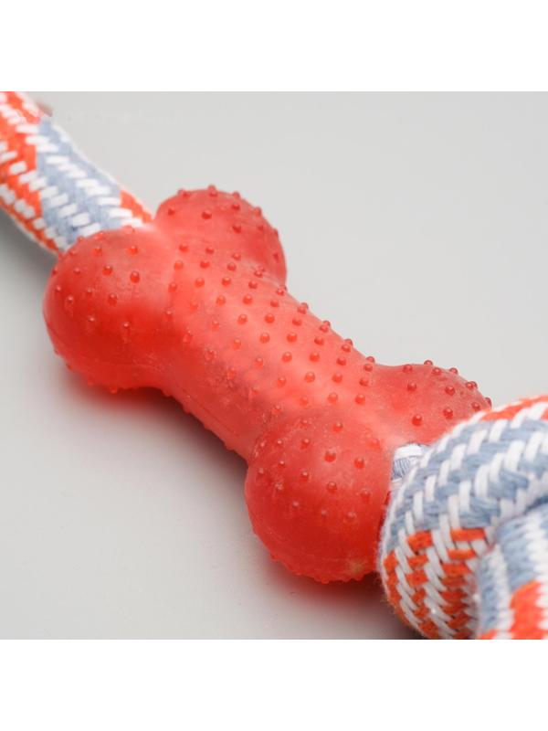 Игрушка тренировочная канатная с косточкой, 120 г, до 40 см, микс цветов