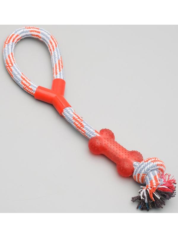 Игрушка тренировочная канатная с косточкой, 120 г, до 40 см, микс цветов