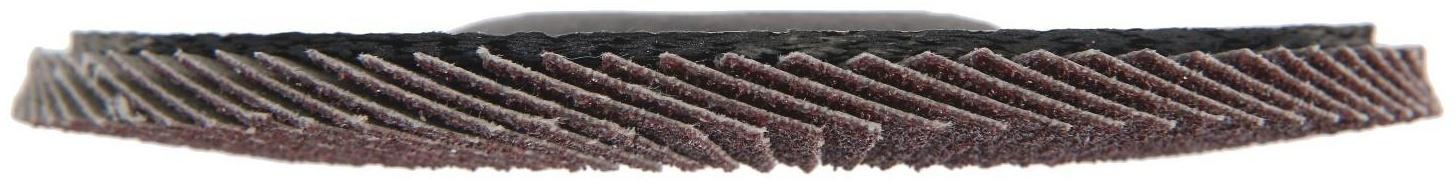 Круг лепестковый торцевой конический ТУНДРА, 125 х 22 мм, Р80