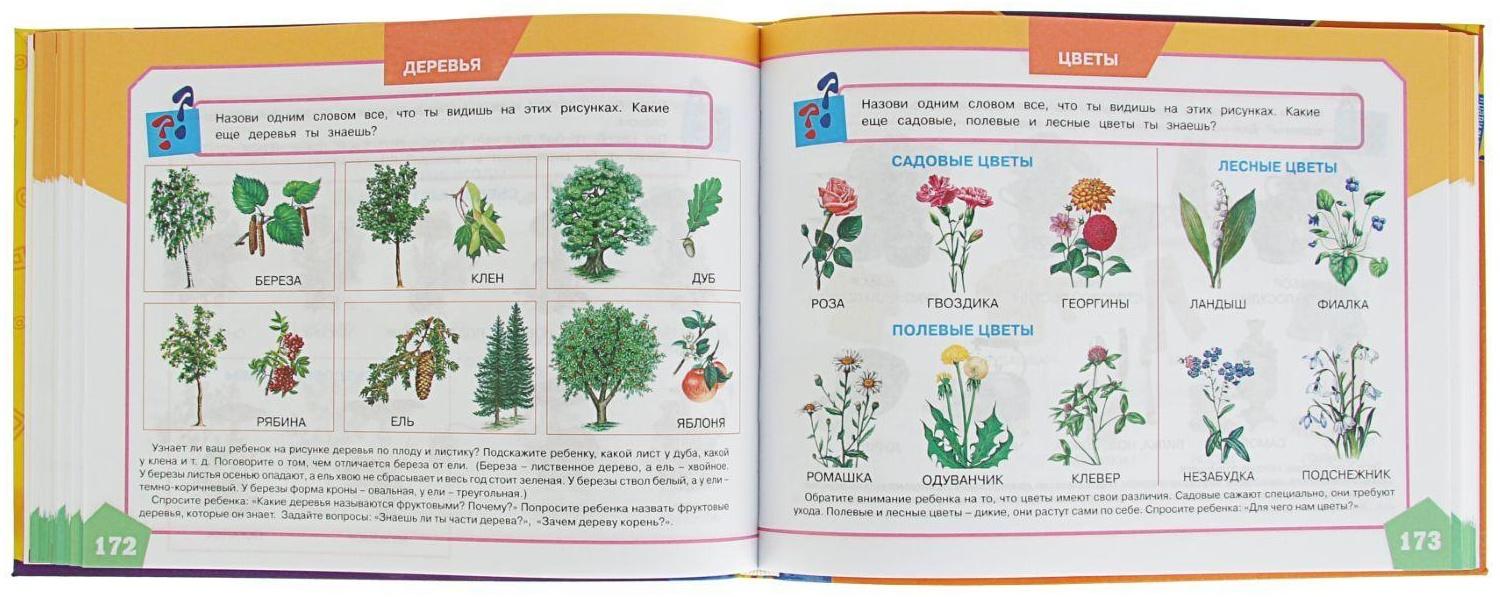 Большой альбом по развитию речи. Батяева С. В., Савостьянова Е. В., Володина В. С.