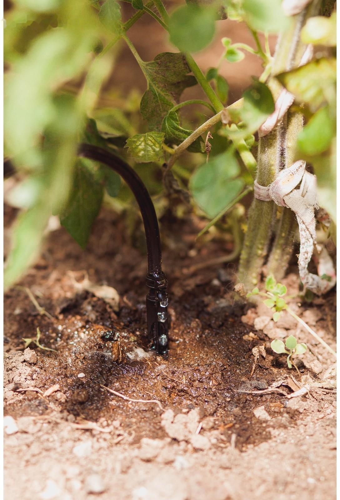 Форсунка для прикорневого капельного полива, цвет МИКС