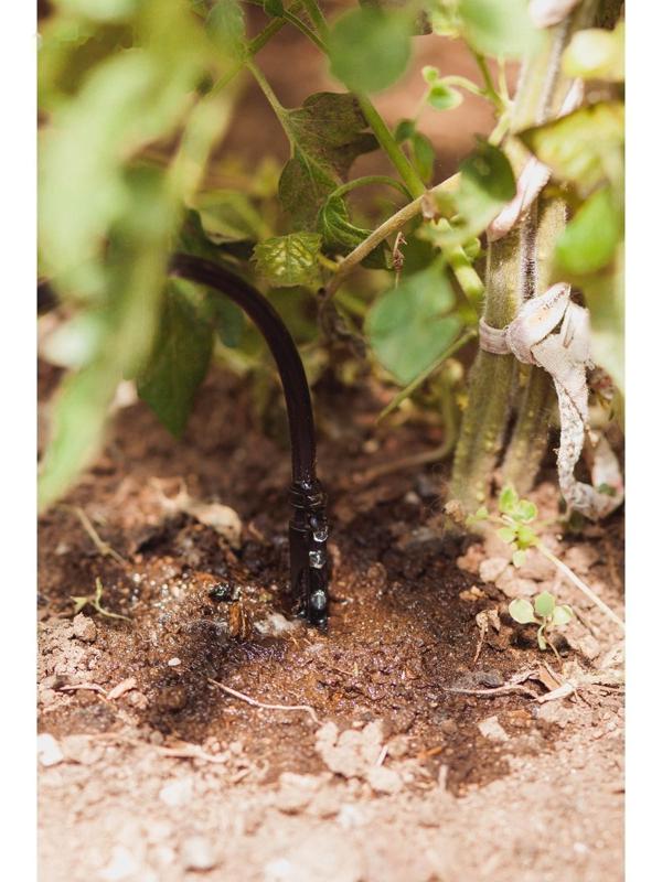 Форсунка для прикорневого капельного полива, цвет МИКС
