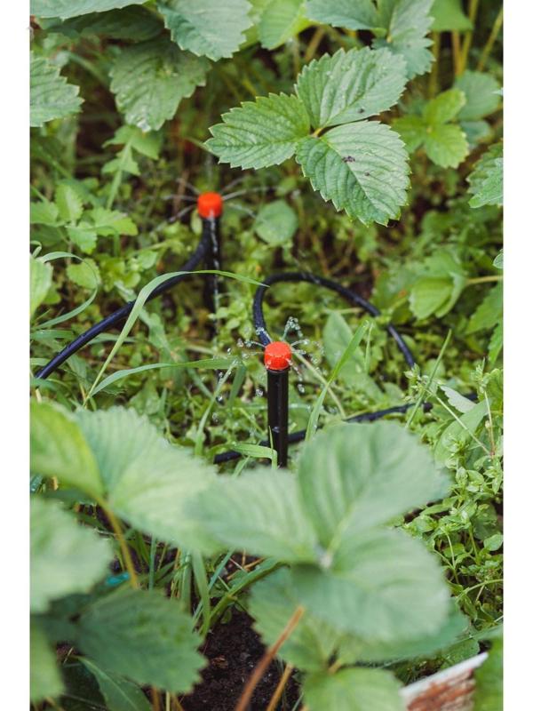 Форсунка-ороситель разбрызгивающая для капельного полива, с пикой, пластик