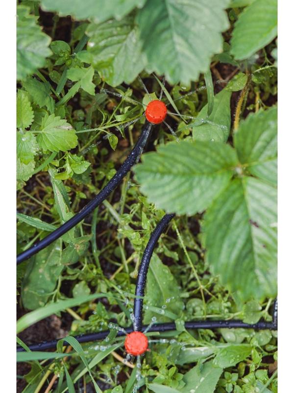 Форсунка-ороситель разбрызгивающая для капельного полива, с пикой, пластик