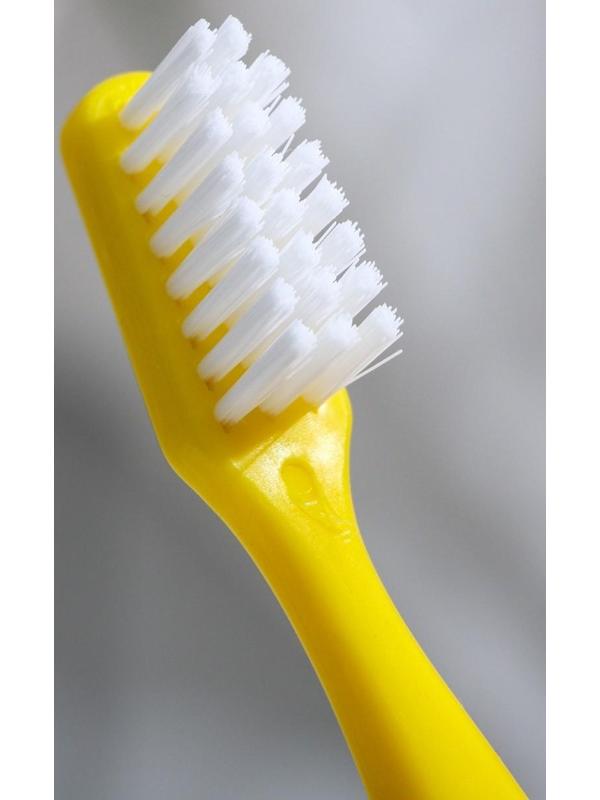 Зубная паста Silcamed со вкусом Колы, 65 г + зубная щетка 1 шт., набор