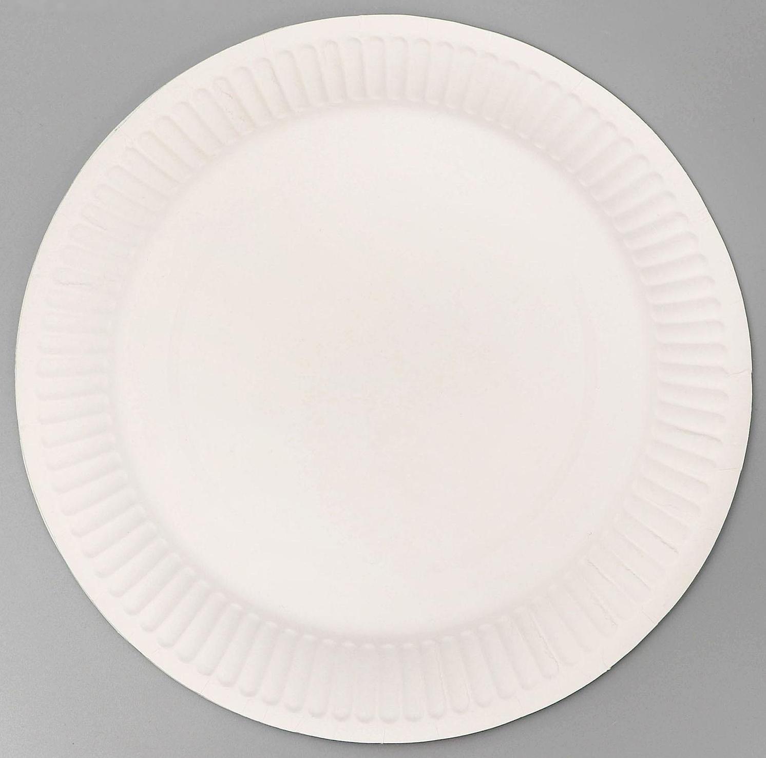 Тарелка бумажная «С днём рождения», паутина, 18 см