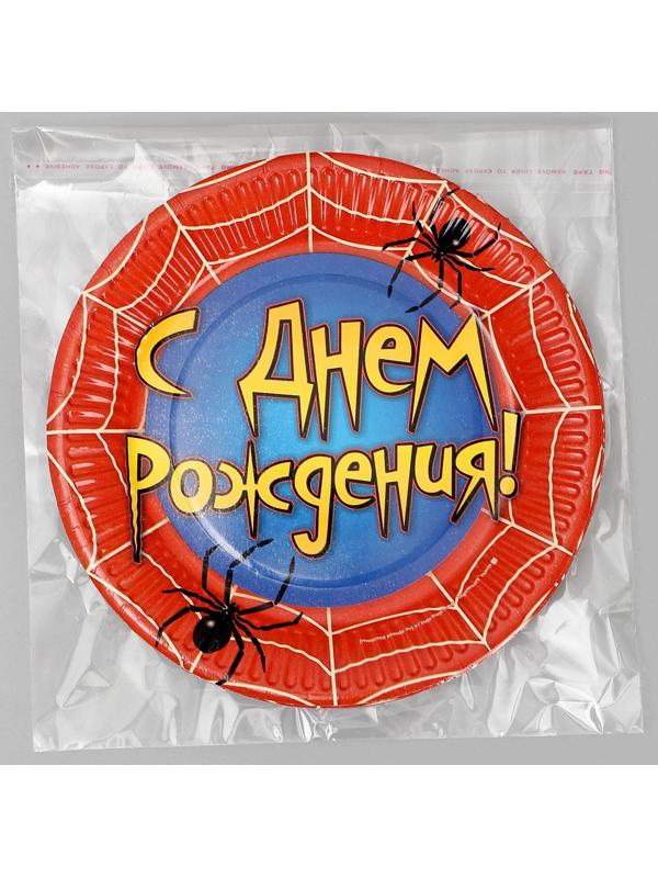Тарелка бумажная «С днём рождения», паутина, 18 см