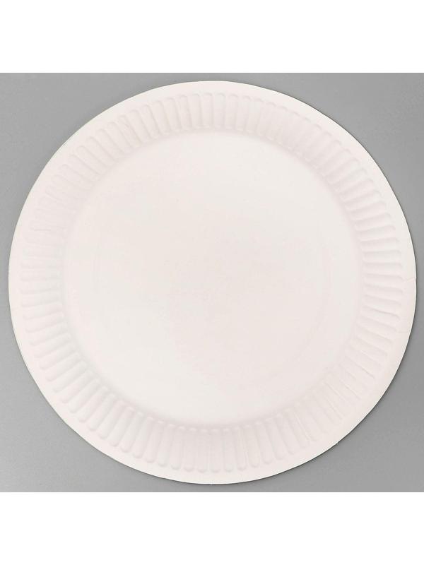 Тарелка бумажная «С днём рождения», паутина, 18 см