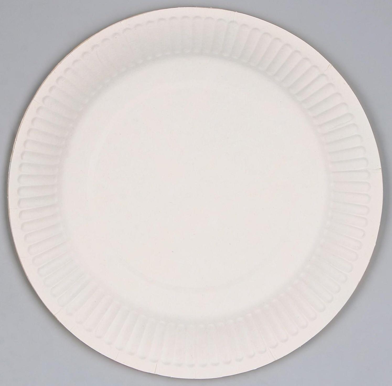 Тарелка бумажная «С днём рождения», зверята, с шариками, 18 см, набор 6 шт.