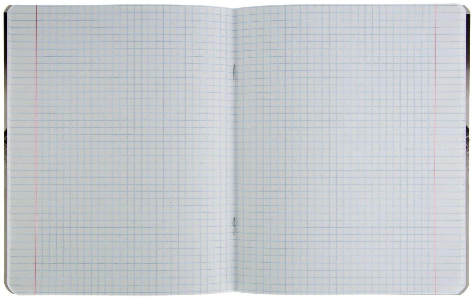 Тетрадь 48 листов клетка 