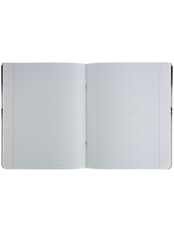 Тетрадь 48 листов клетка 