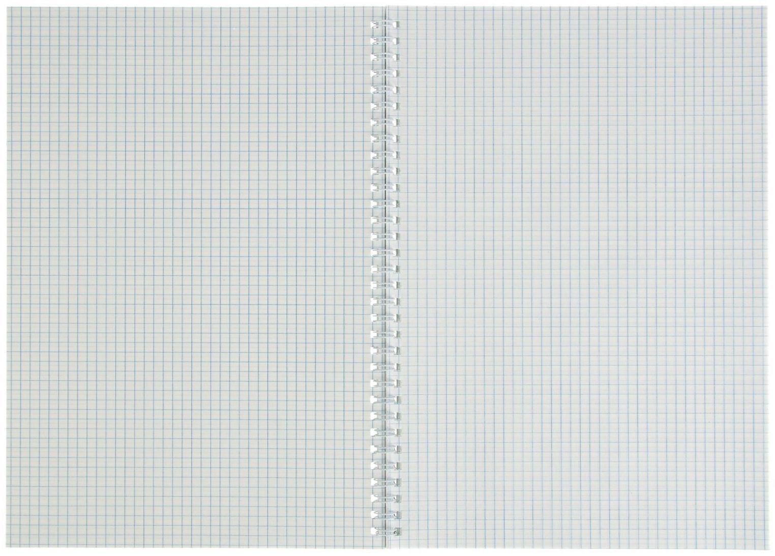 Тетрадь А4, 80 листов в клетку на гребне 