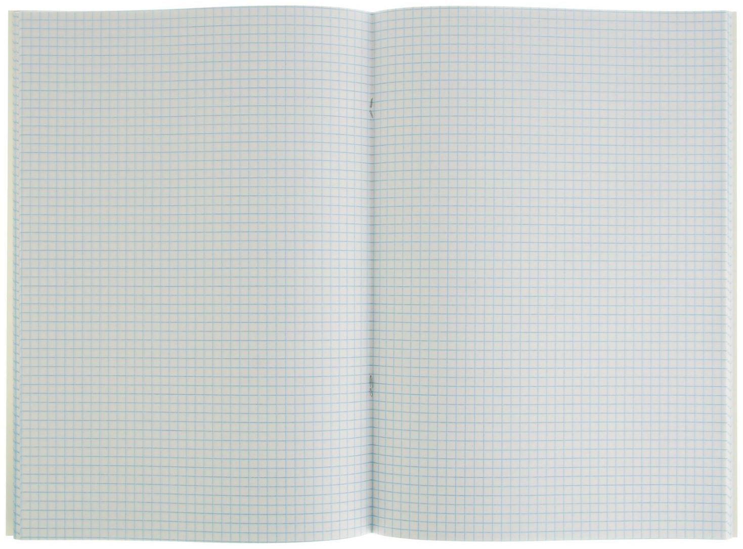 Тетрадь А4, 80 листов в клетку 