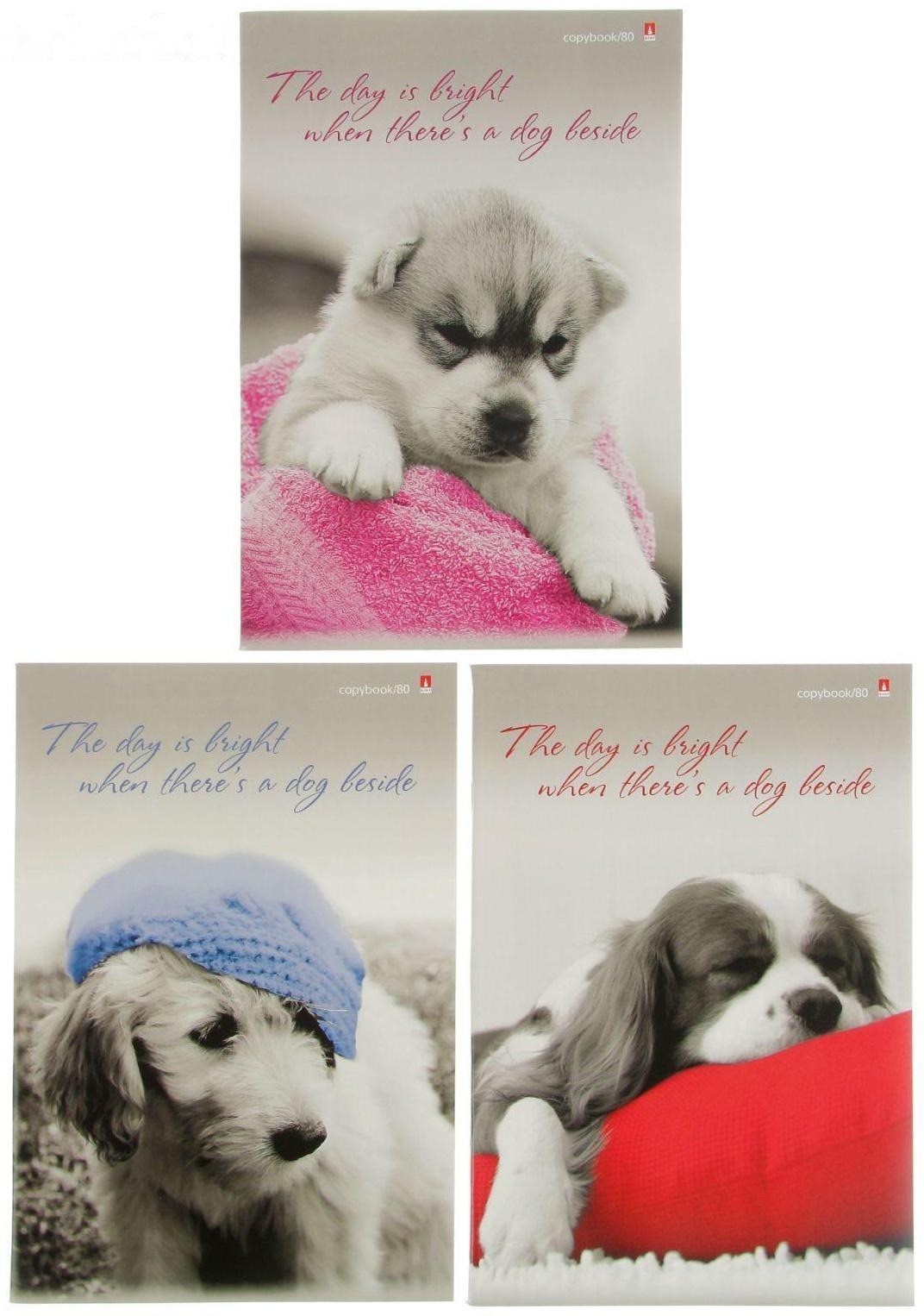 Тетрадь А4, 80 листов в клетку 