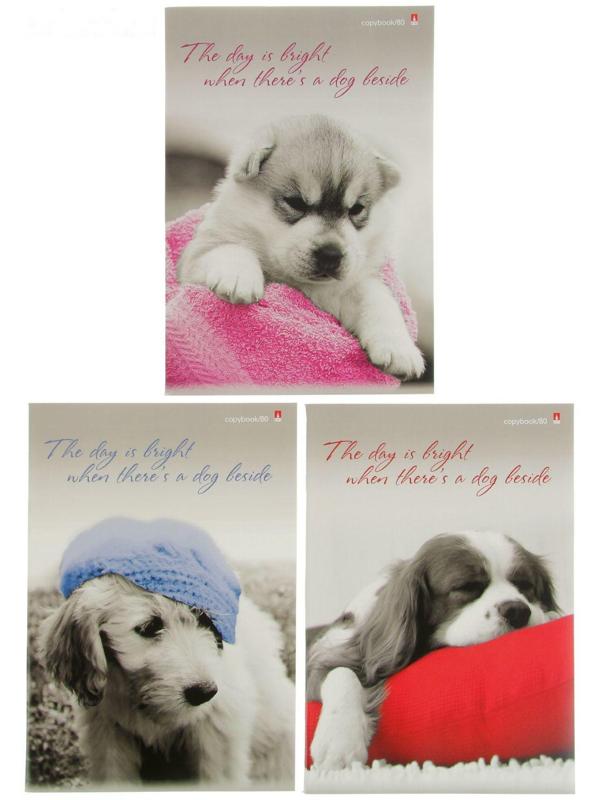 Тетрадь А4, 80 листов в клетку 