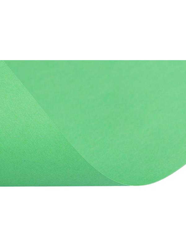 Бумага цветная А4, 100 листов Calligrata Интенсив, зелёная, 80 г/м²