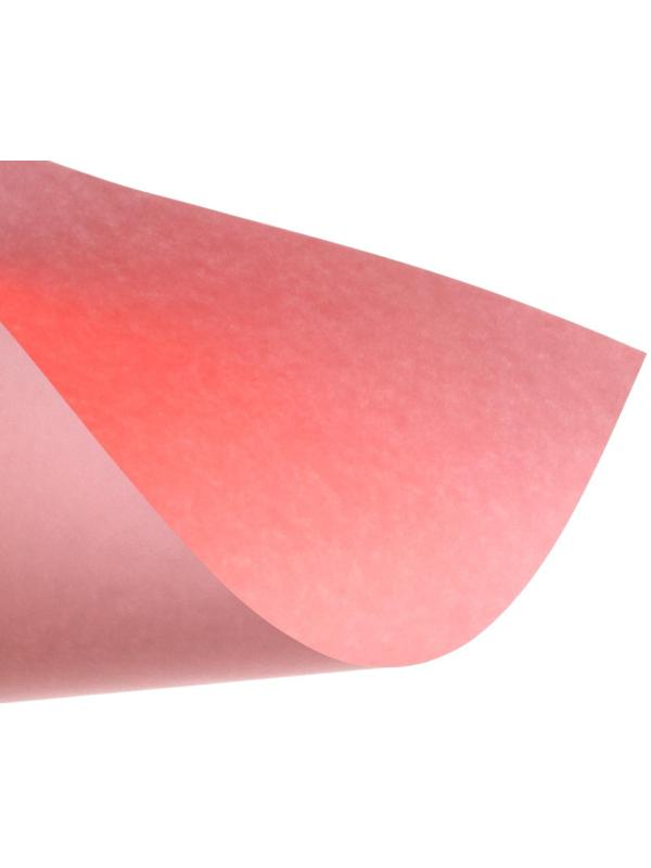 Бумага цветная А4, 100 листов Calligrata Пастель, розовая, 80 г/м²