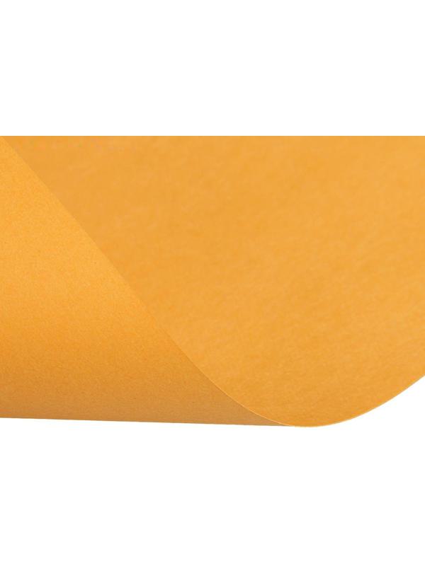 Бумага цветная А4, 100 листов Calligrata Интенсив, 5 цветов, 80 г/м²