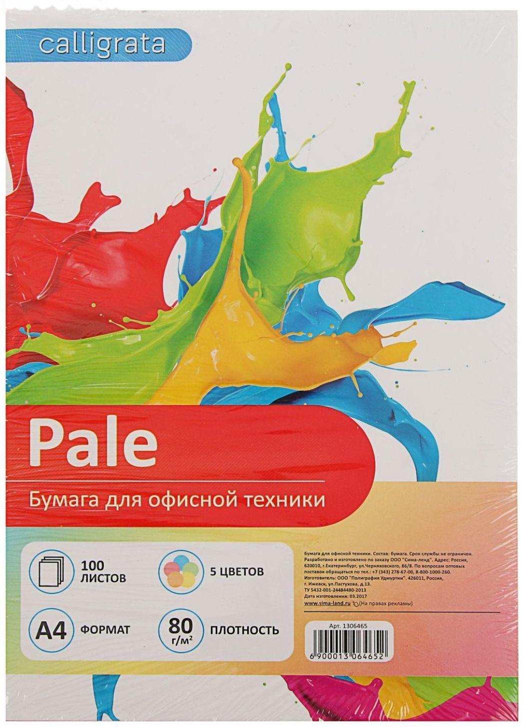 Бумага цветная А4, 100 листов Calligrata Пастель, 5 цветов, 80 г/м
