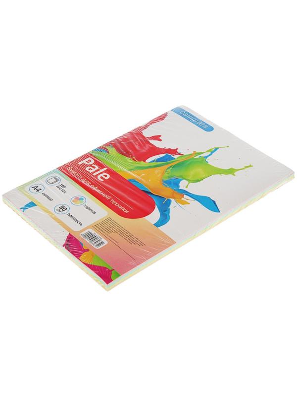 Бумага цветная А4, 100 листов Calligrata Пастель, 5 цветов, 80 г/м