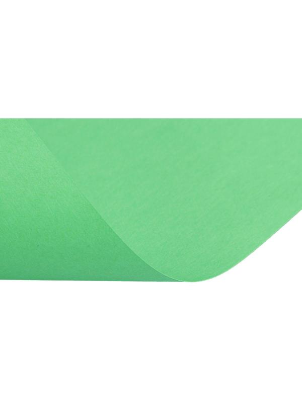 Бумага цветная А4, 50 листов Calligrata Интенсив, зелёная, 80 г/м²