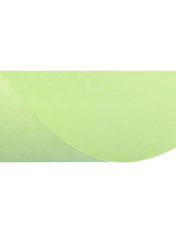 Бумага цветная А4, 50 листов Calligrata Пастель, зелёная, 80 г/м²