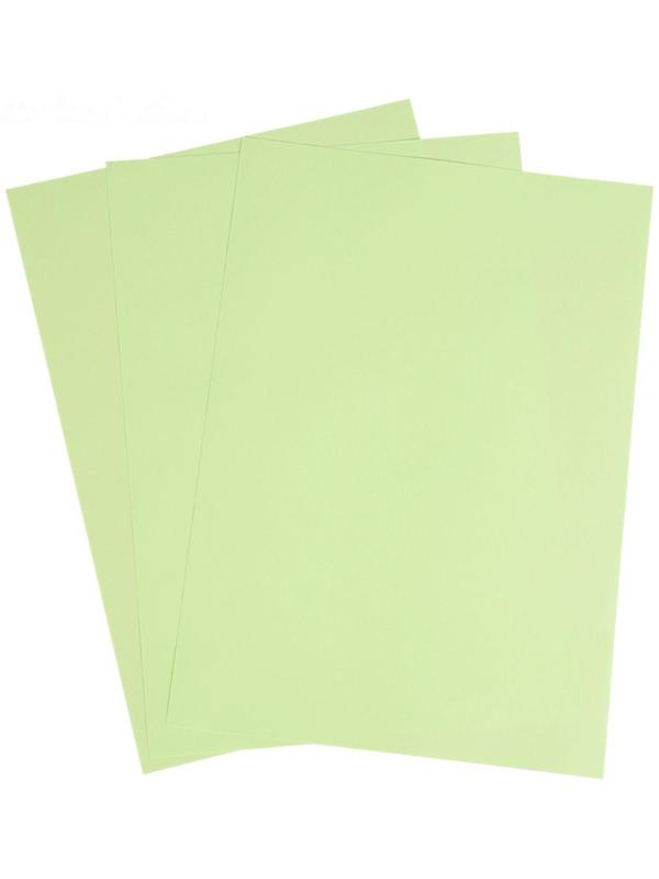 Бумага цветная А4, 50 листов Calligrata Пастель, зелёная, 80 г/м²