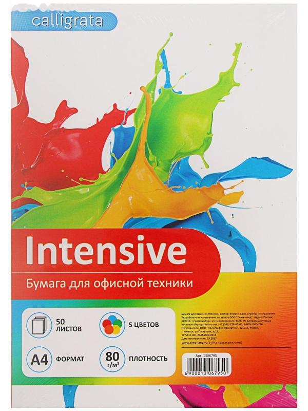 Бумага цветная А4, 50 листов Calligrata Интенсив, 5 цветов, 80 г/м²