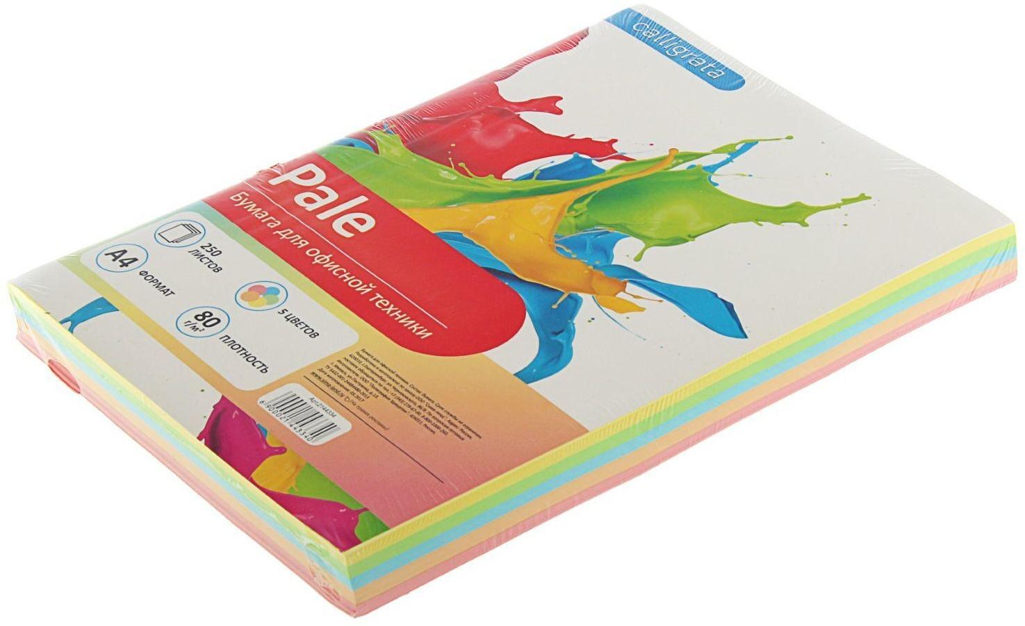 Бумага цветная А4, 250 листов Calligrata Пастель, 5 цветов, 80 г/м²