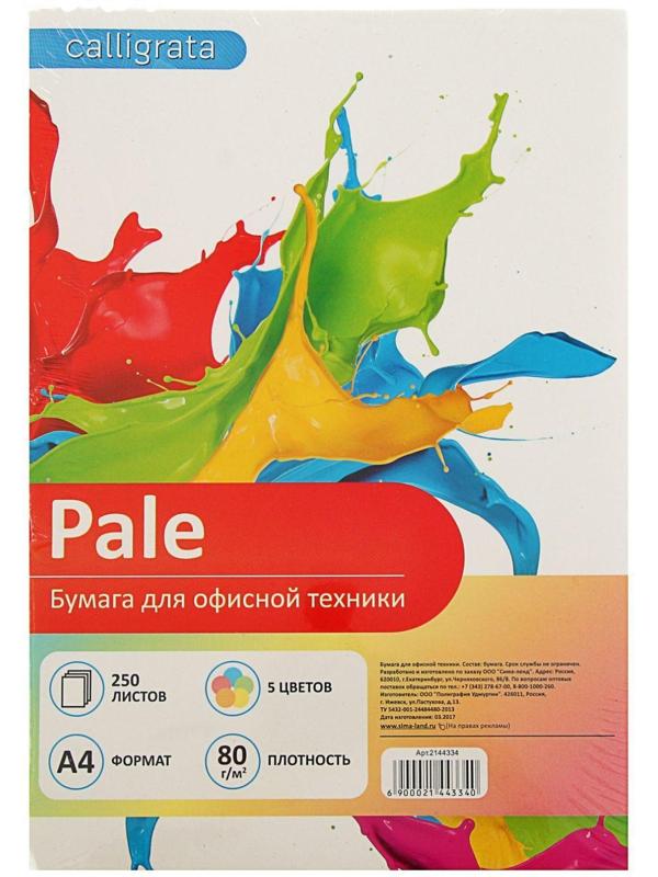 Бумага цветная А4, 250 листов Calligrata Пастель, 5 цветов, 80 г/м²