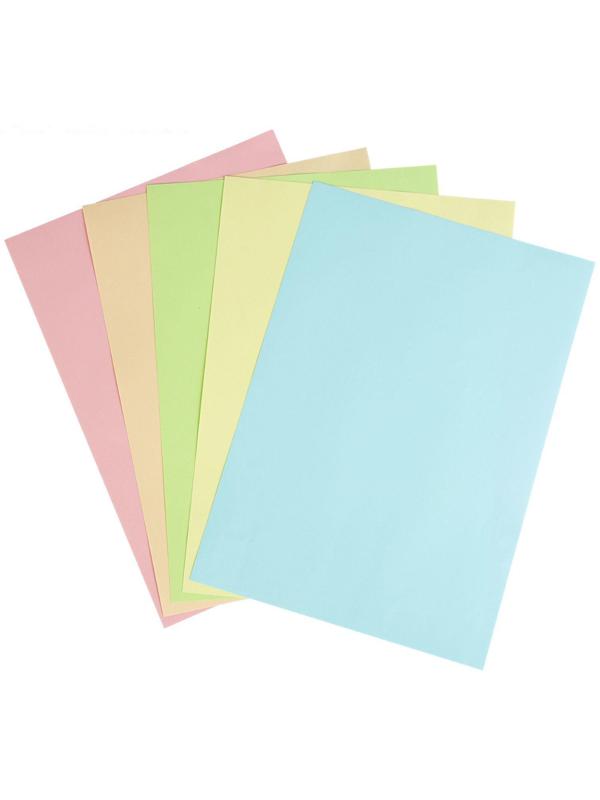 Бумага цветная А4, 250 листов Calligrata Пастель, 5 цветов, 80 г/м²