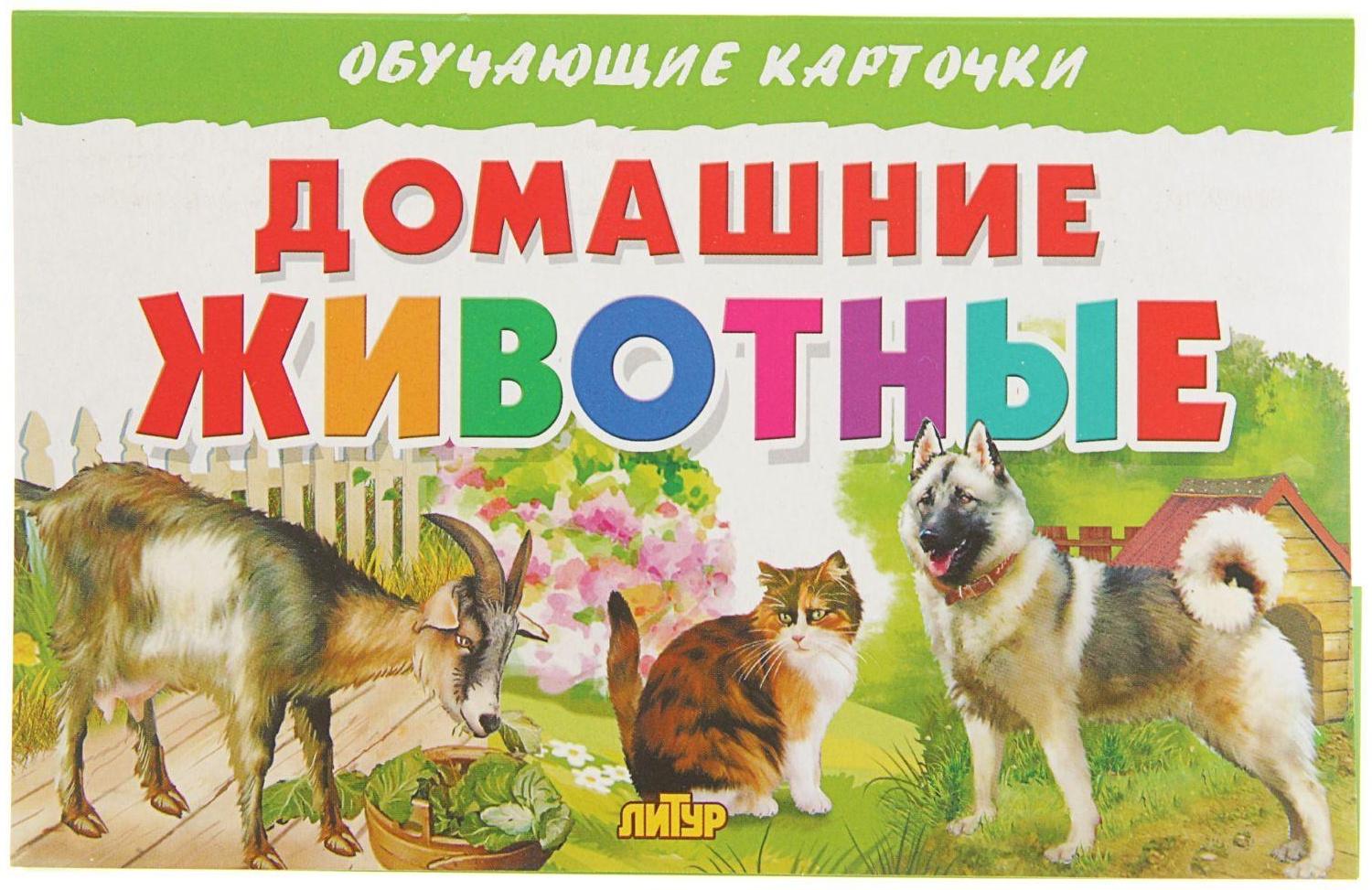 Обучающие карточки «Домашние животные»