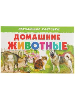 Обучающие карточки «Домашние животные»
