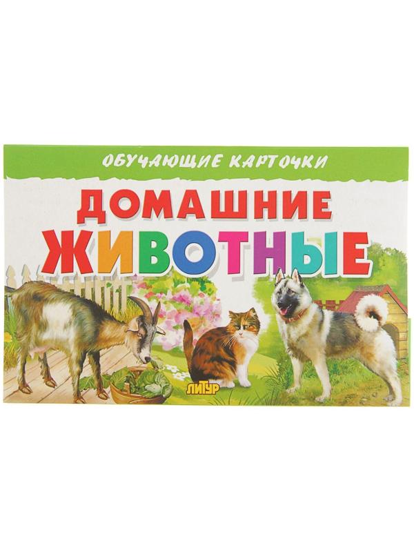 Обучающие карточки «Домашние животные»