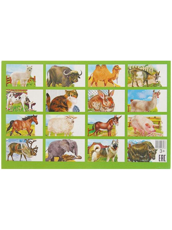 Обучающие карточки «Домашние животные»